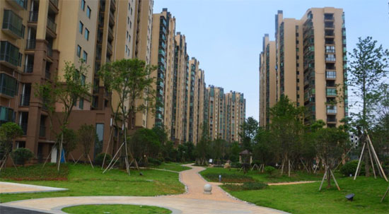 中央一品實景圖